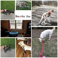 Puppy Training