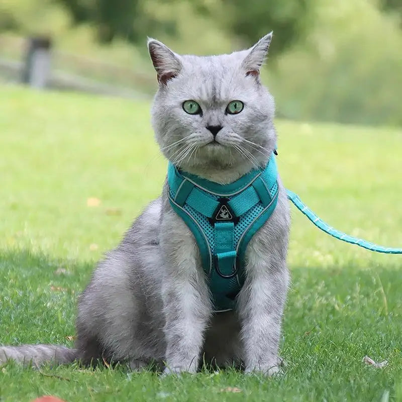 No Pull Dog Harness and Leash Set Adjustable Pet Harness Vest for Small Dogs Cats Reflective Dog Chest Strap Lead Walking