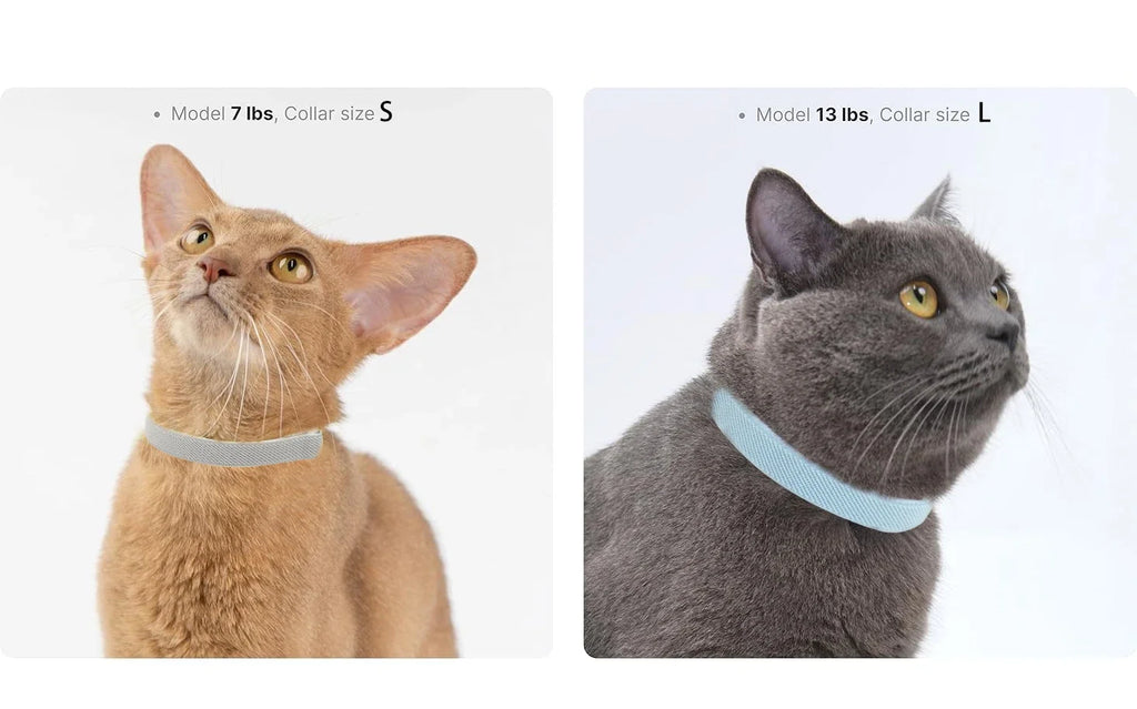 Light Weight Fashion Safety Cat Collar Stretch Elastic Small Dog Collars - Neck for All Small Large Cat Puppy Pet Accessories