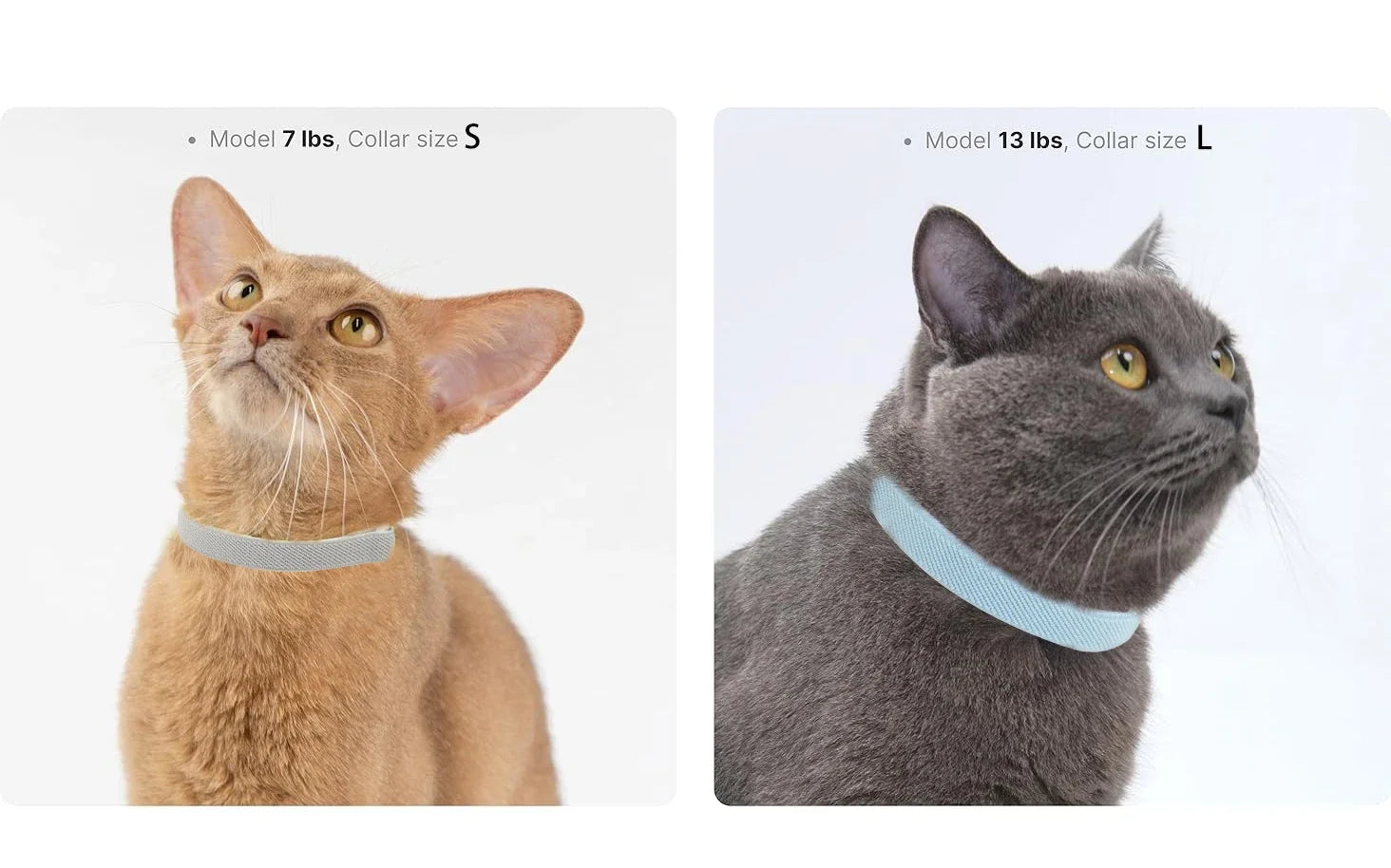 Light Weight Fashion Safety Cat Collar Stretch Elastic Small Dog Collars - Neck for All Small Large Cat Puppy Pet Accessories